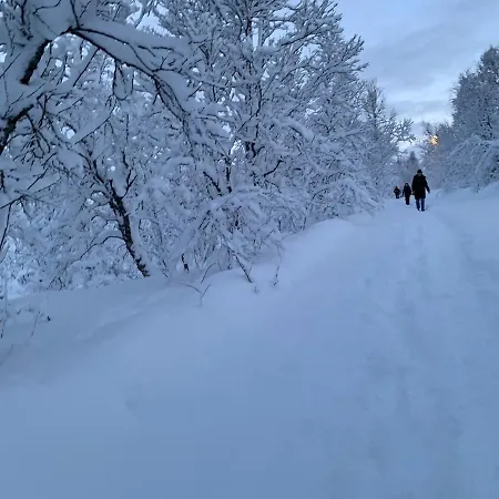 Cozy In Hamna Apartamento