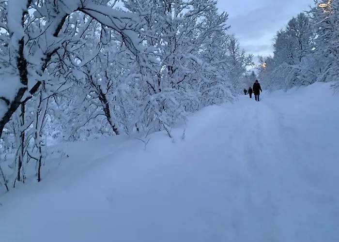 Cozy In Hamna Apartamento